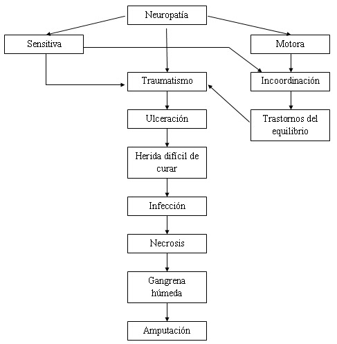 Las semillas del lino de varikoza